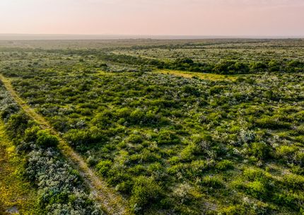 Timberland Property for sale in Kinney County, Texas