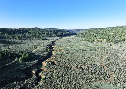 Farm and Ranch for sale in Rio Arriba County, New Mexico