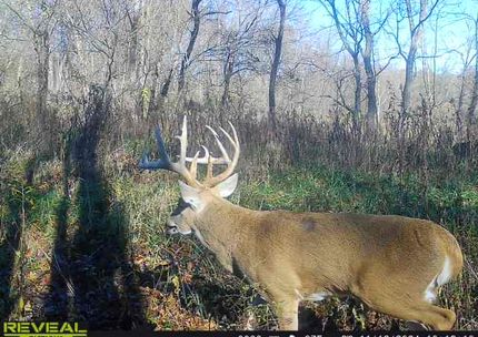 Recreational Property for sale in Effingham County, Illinois
