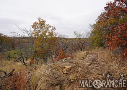 Farm and Ranch for sale in Comanche County, Texas