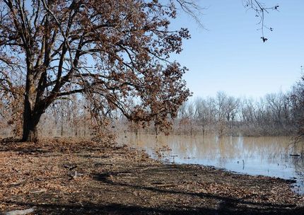 Farm and Ranch for sale in Fannin County, Texas