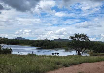 Recreational Property for sale in Cochise County, Arizona