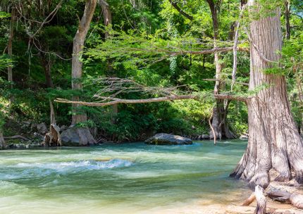 Farm and Ranch for sale in Kendall County, Texas