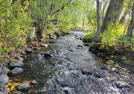 Farm and Ranch for sale in Gallatin County, Montana