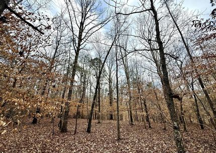 Farm and Ranch for sale in Elbert County, Georgia