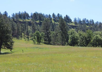 Recreational Property for sale in Crook County, Wyoming