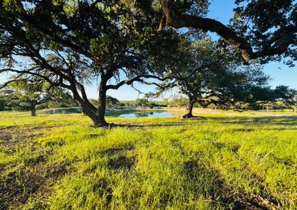Farm and Ranch for sale in Blanco County, Texas