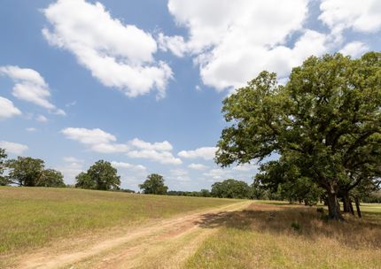 Timberland Property for sale in Caldwell County, Texas