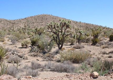 Recreational Property for sale in Mohave County, Arizona