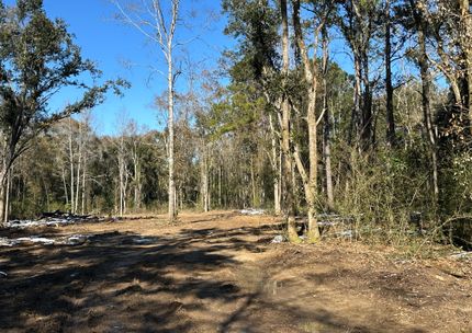 Farm and Ranch for sale in Mobile County, Alabama
