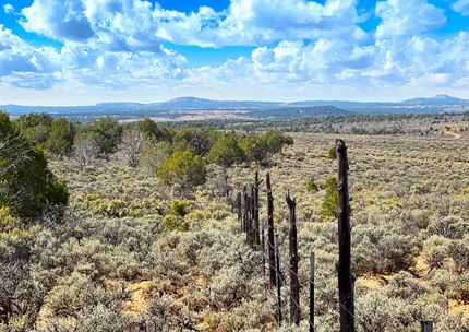 Farm and Ranch for sale in San Juan County, New Mexico