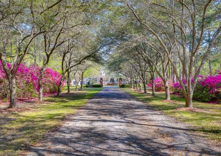 Timberland Property for sale in Berkeley County, South Carolina
