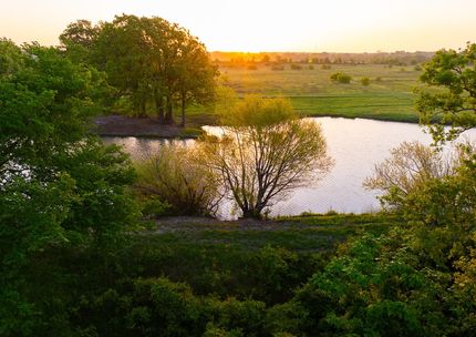 Timberland Property for sale in Freestone County, Texas