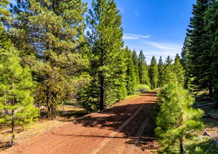 Undeveloped Land for sale in Modoc County, California