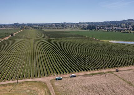 Farm and Ranch for sale in Polk County, Oregon