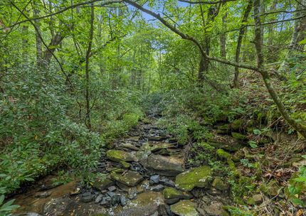 Timberland Property for sale in Morgan County, Tennessee