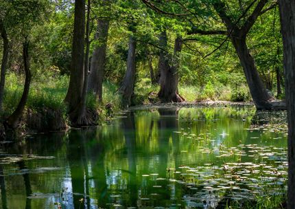 Timberland Property for sale in Kendall County, Texas