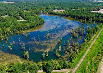 Timberland Property for sale in Clay County, Arkansas