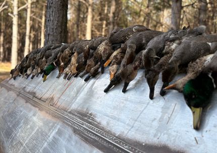 Recreational Property for sale in Lonoke County, Arkansas