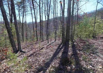 Timberland Property for sale in Cocke County, Tennessee