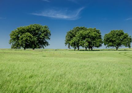 Commercial Property for sale in Clay County, Texas