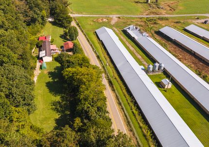 Timberland Property for sale in Greene County, Tennessee