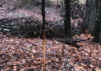 Farm and Ranch for sale in Prentiss County, Mississippi