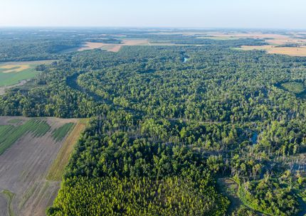 Farm and Ranch for sale in Wayne County, Illinois