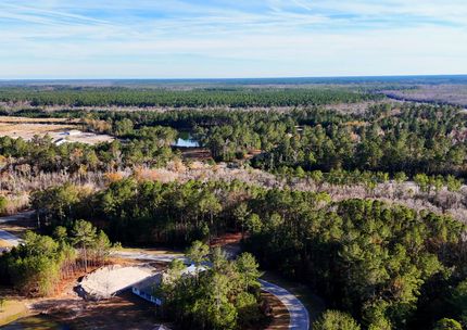Timberland Property for sale in Camden County, Georgia