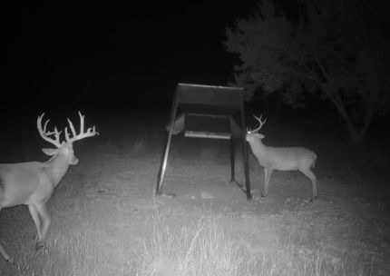 Farm and Ranch for sale in Kerr County, Texas