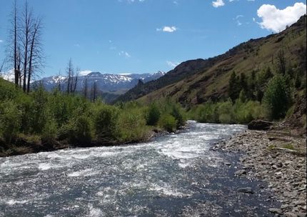 Farm and Ranch for sale in Park County, Wyoming