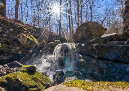 Undeveloped Land for sale in Oglethorpe County, Georgia