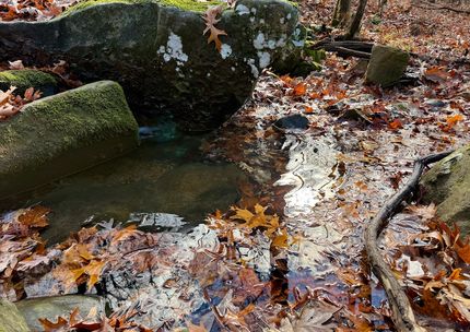 Farm and Ranch for sale in Carroll County, Arkansas