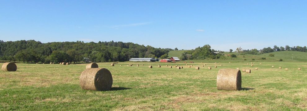 Undeveloped Land for sale in Madison County, Arkansas