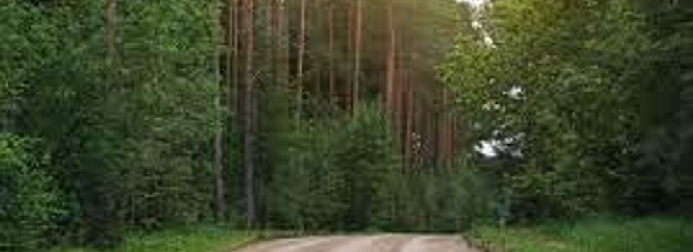 Land for sale in Putnam County, Florida