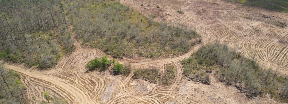 Farm and Ranch for sale in Newton County, Texas