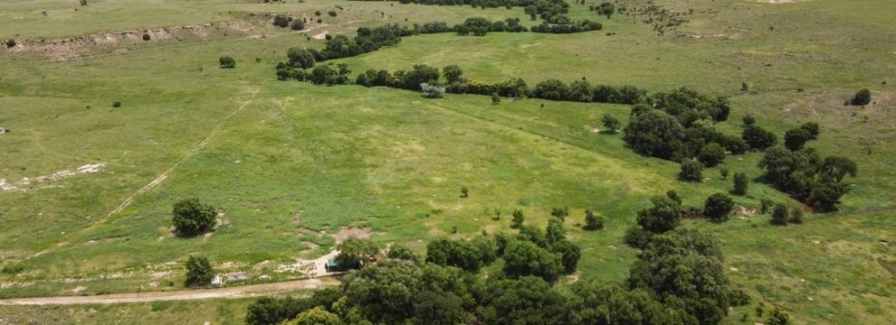 Undeveloped Land for sale in Randall County, Texas