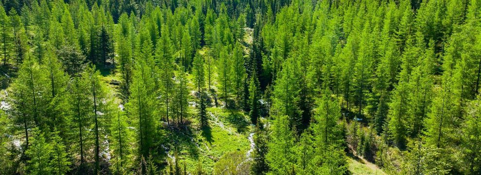 Farm and Ranch for sale in Flathead County, Montana