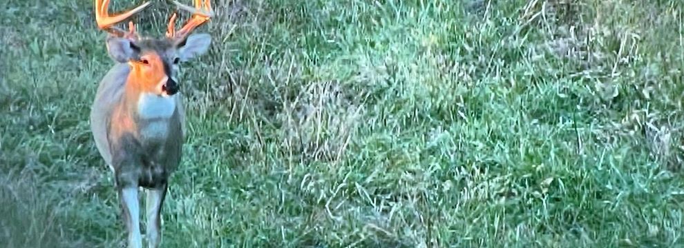 Farm and Ranch for sale in Pope County, Illinois