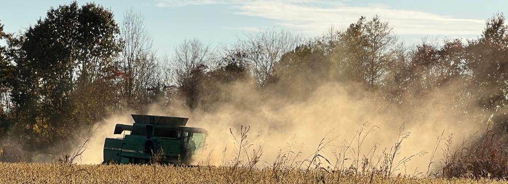 Land for sale in Pope County, Illinois