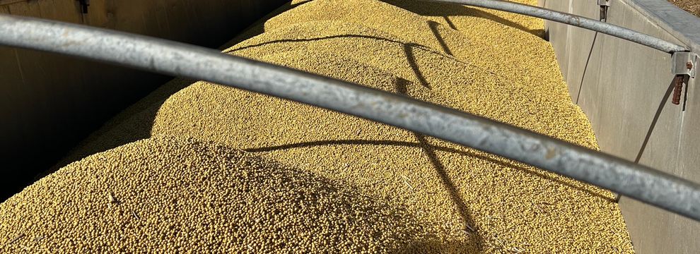 Farm and Ranch for sale in Pope County, Illinois