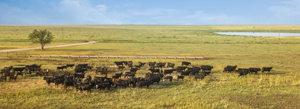 Lakefront Property for sale in Bailey County, Texas