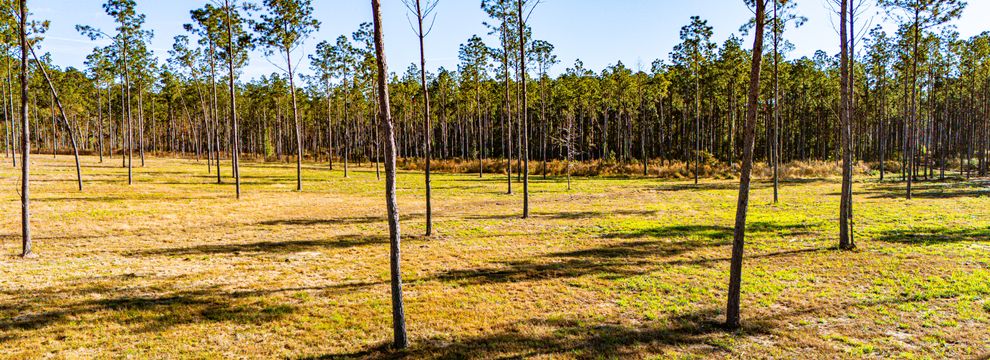 Land for sale in Polk County, Texas