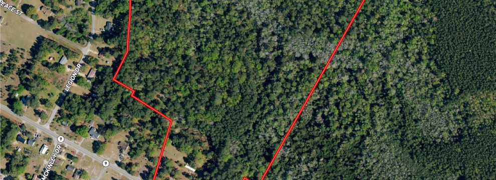 Farm and Ranch for sale in Dillon County, South Carolina