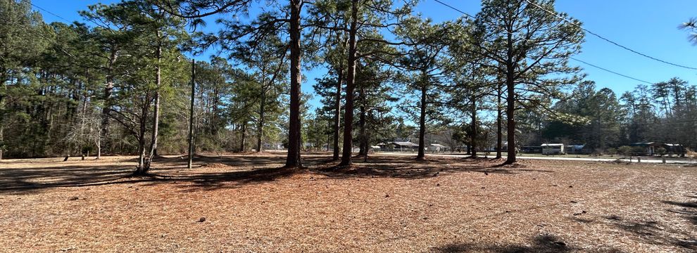 Undeveloped Land for sale in Dillon County, South Carolina