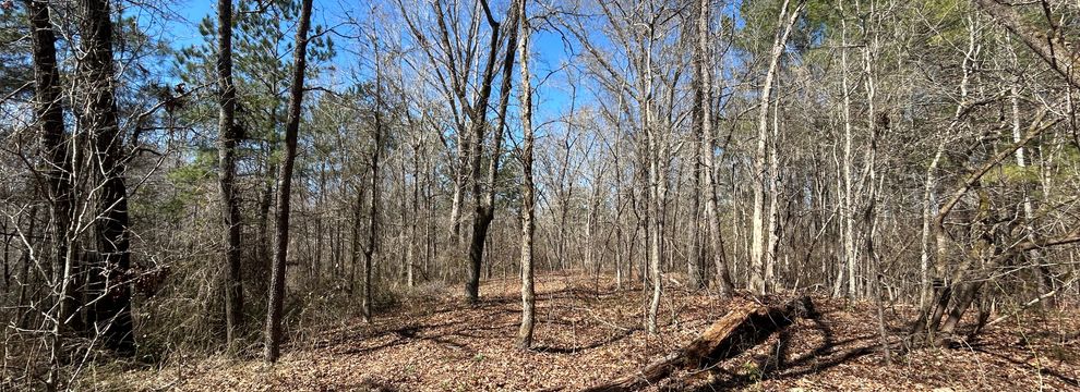 Recreational Property for sale in Bladen County, North Carolina