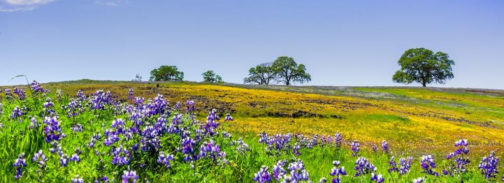Farm and Ranch for sale in Kerr County, Texas