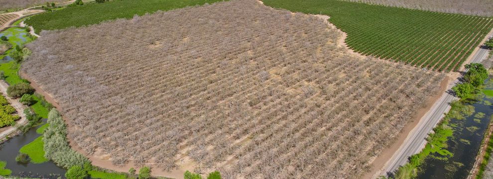 Undeveloped Land for sale in Sutter County, California