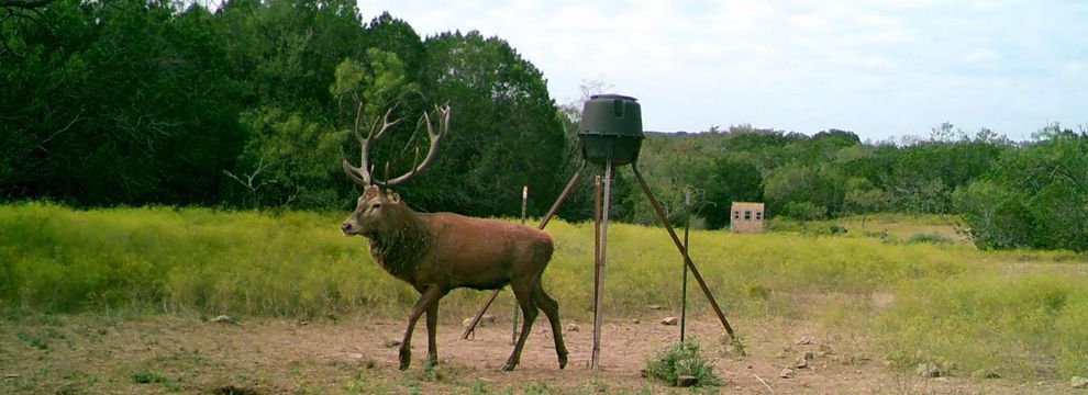 Farm and Ranch for sale in Coleman County, Texas