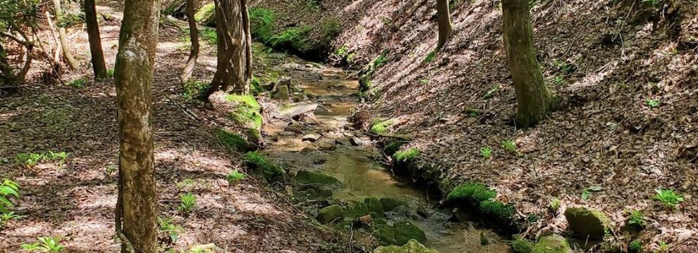 Farm and Ranch for sale in Rutherford County, North Carolina